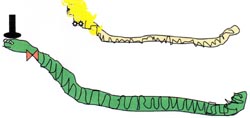 The Earthworm picture